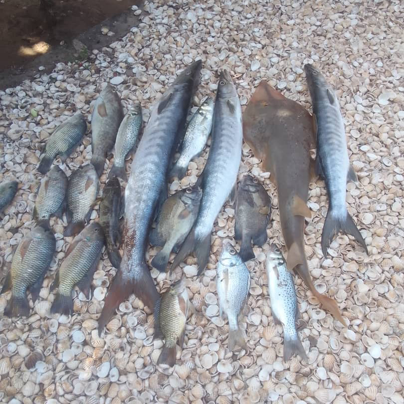peche-delta-saloum-senegal-2